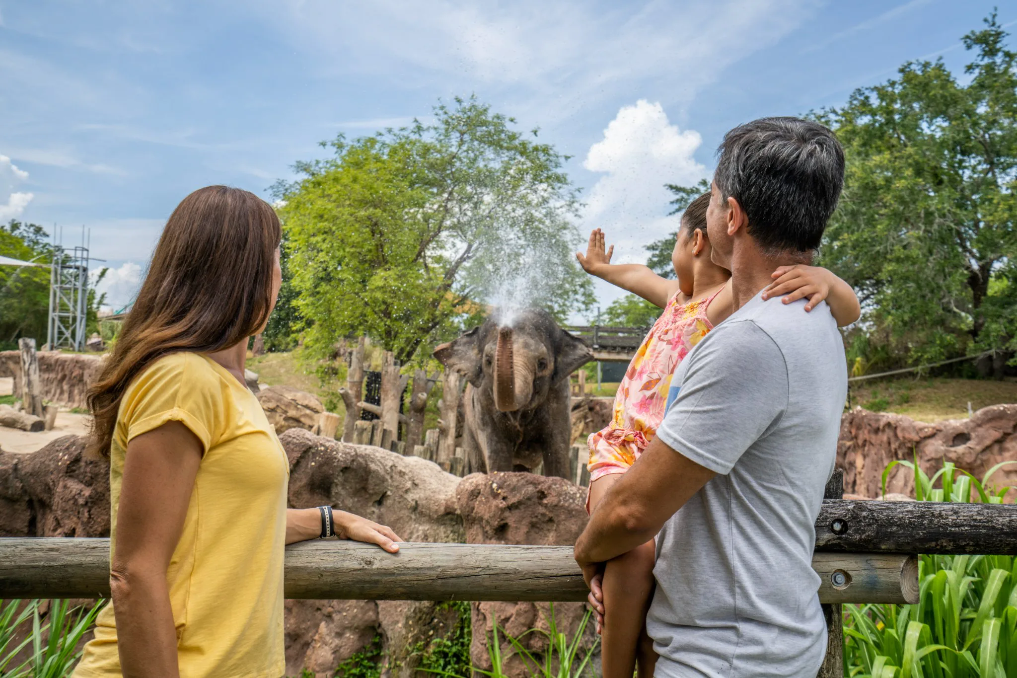 Busch Gardens in Tampa